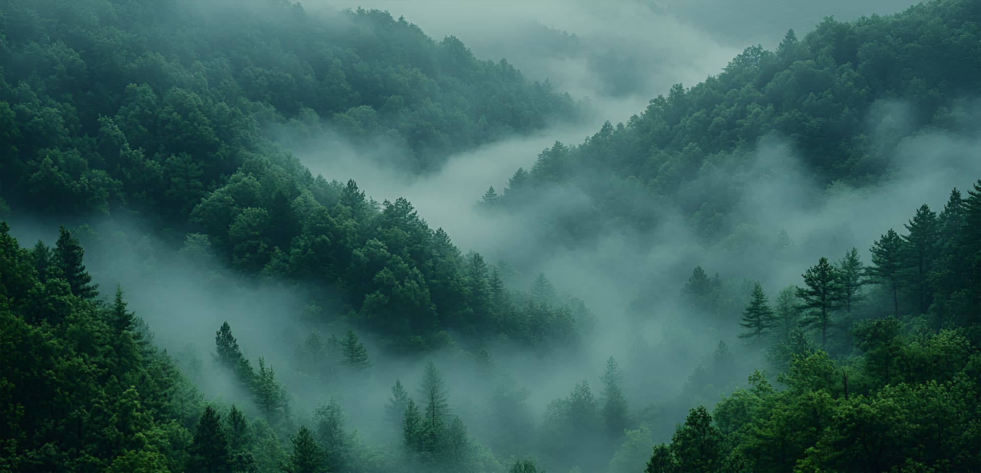 Environmental-commitment-banner Banner featuring a misty forest with text highlighting YTOO's environmental commitment to sustainable OEM e-liquid production through advanced ventilation systems and sewage treatment facilities.